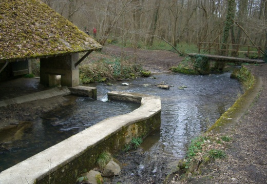 3_Chevreuse mars 2009 JJG