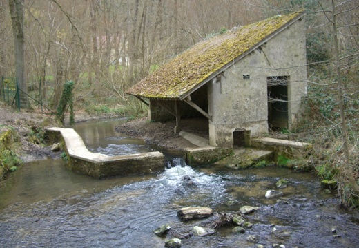 3_Chevreuse mars 2009 JJG