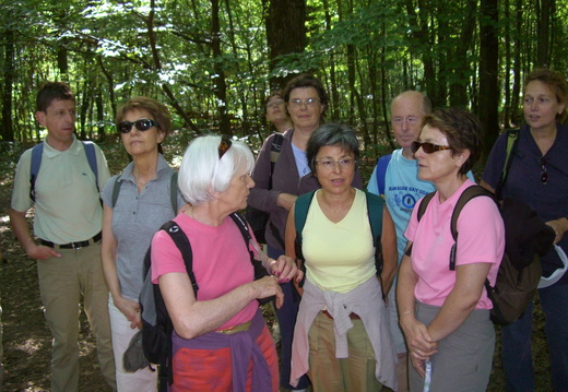 27 juin 09 La Guesle 1