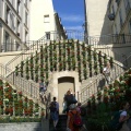 15_escaliers rue Rollin-rue Monge