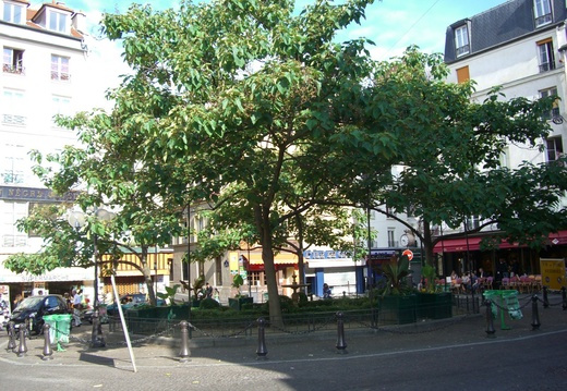 16_place de la Contrescarpe 5e