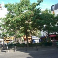 16_place de la Contrescarpe 5e