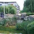 Rueil bords de Seine 3