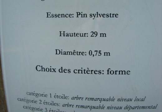 CIMG1348