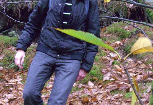 24 oct 09 je dors en marchant