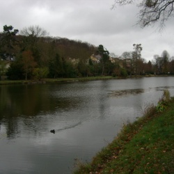 17_parc St Cloud forêt Fausse Repose