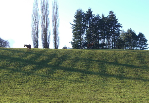 Far-west en Yvelines