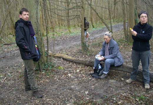 4_Forêt de Marly 27 mars 2010 JJG 4_Forêt de Marly 27 mars 2010 JJG