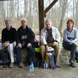 4_Forêt de Marly 27 mars 2010 JJG