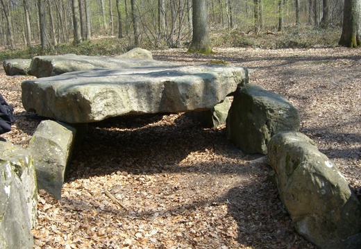 La Pierre Turquaise_forêt de Carnelle