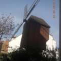 DSCN1319
