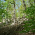 Dans les Vaux de Cernay_1