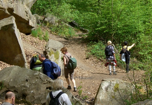 Le long du ru des Vaux_1
