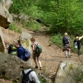 Le long du ru des Vaux_1