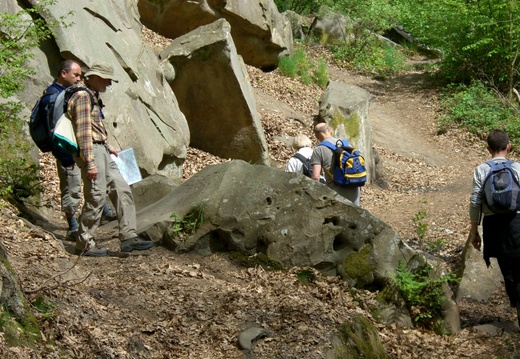 Le long du ru des Vaux_2