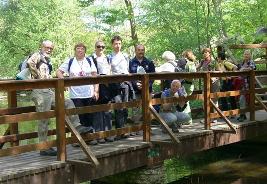 Sur un petit pont au-dessus du ru des Vaux_1