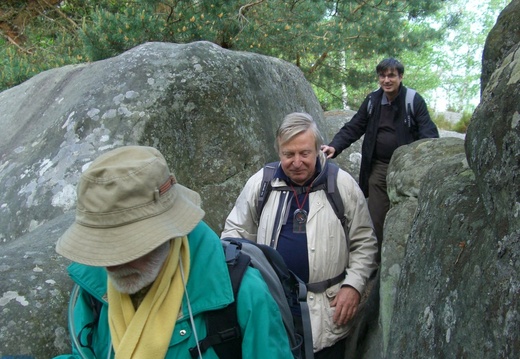 Dans les rochers d'Apremont-Fontainebleau_2