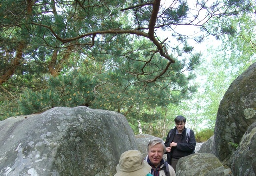 Dans les rochers d'Apremont-Fontainebleau_1