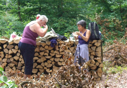 14_Forêt de Marly 28 août 2010