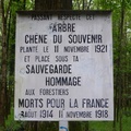P1040079