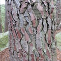 P1040124
