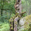 P1040142