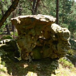 Sorques_Forêt de Fontainebleau