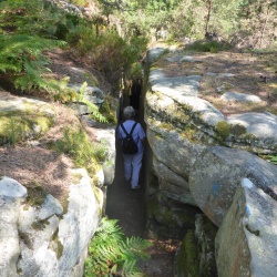 Sorques_Forêt de Fontainebleau