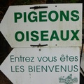 P1040662