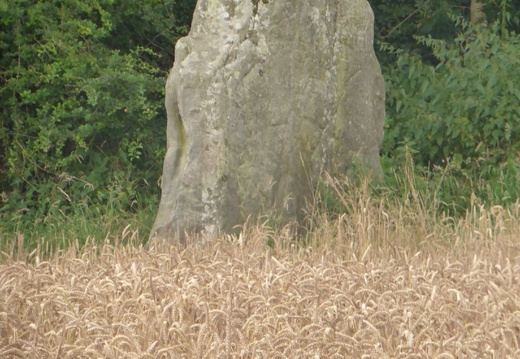 P1040680