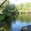 P1050037