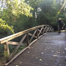 137_Jouars-Ponchartrain (78)