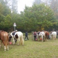 P1050060