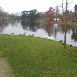 Marche nordique du 23 novembre 2016