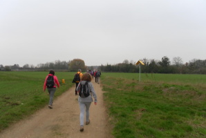SAM_0041