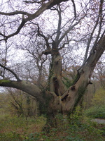P1050143