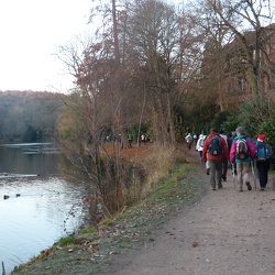 143_Les marches de l'Espoir