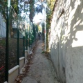 P1050206