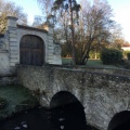 IMG_6550