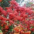 P1050256