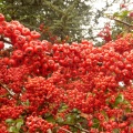 P1050257