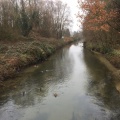 IMG_7451