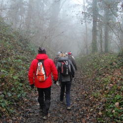 145_L'eau des moines (95)