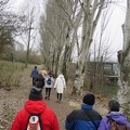 IMG_0967