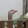 IMG_1171