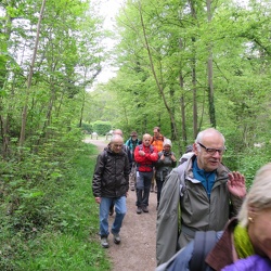 Le petit sentier (78)