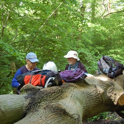 Auvers sur Oise 2017