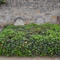 DSC_1894 Tombe des Van Gogh