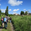 IMG_1523