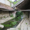 IMG_1535